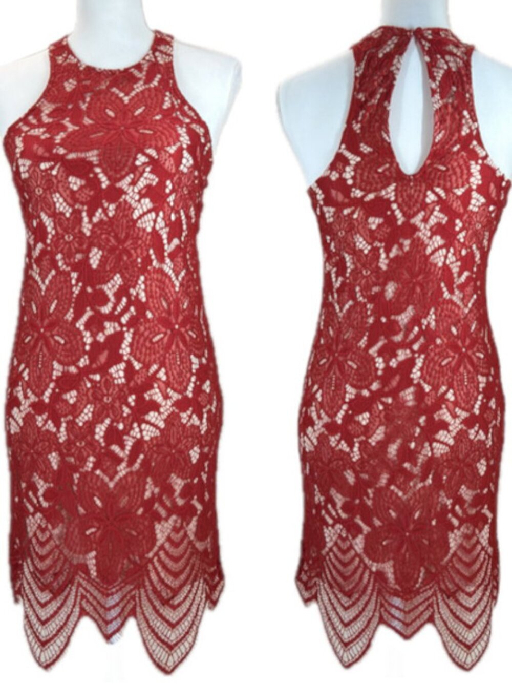 Express Floral Lace Sheath Mini Dress XS Red Sleeveless Lined Event Romantic Zip